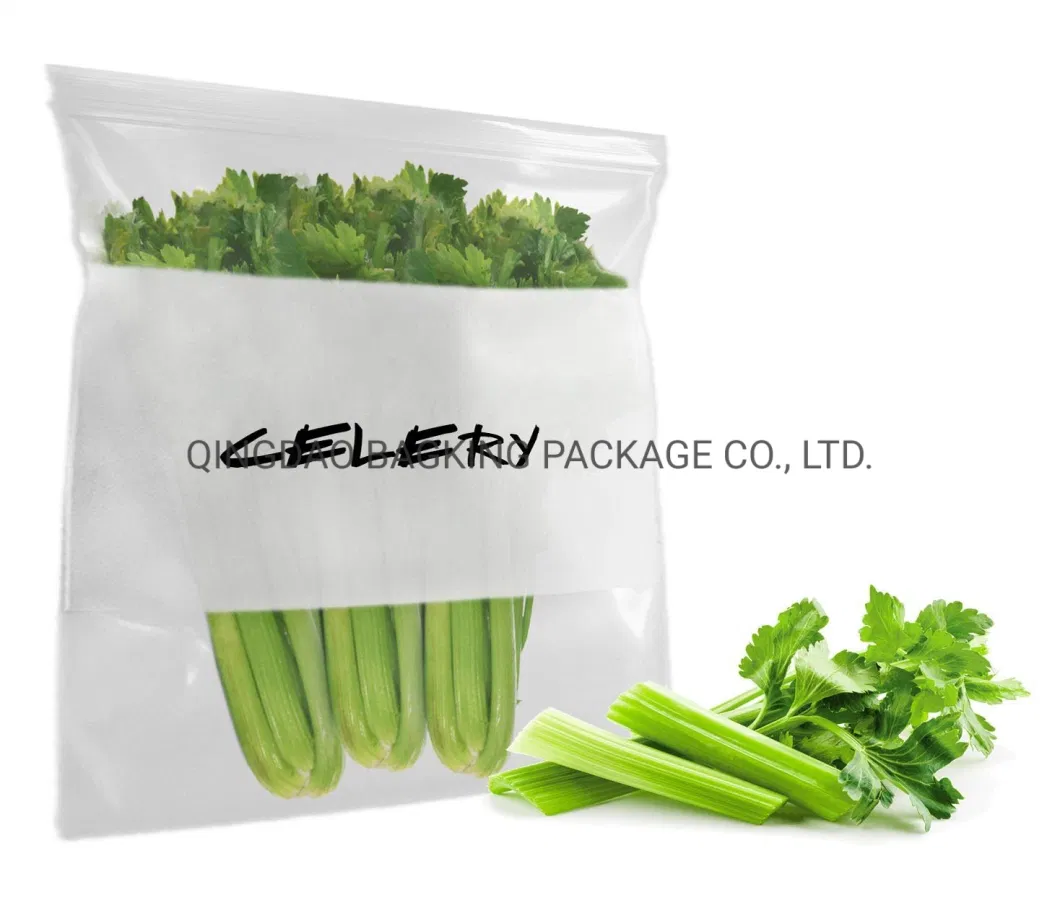 Color Translucent Plastic Recloseable Custom Zipper Bag Mini Baggie